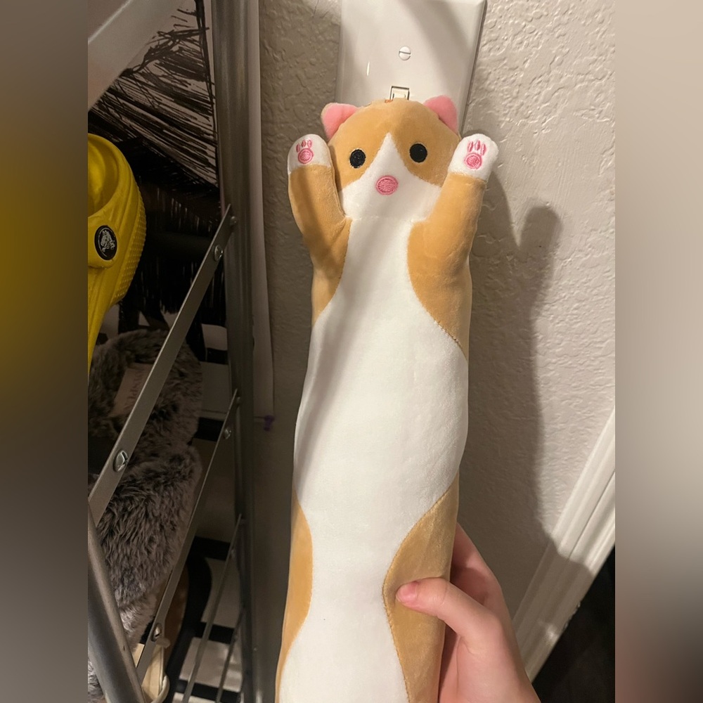 Cat heater plush!
